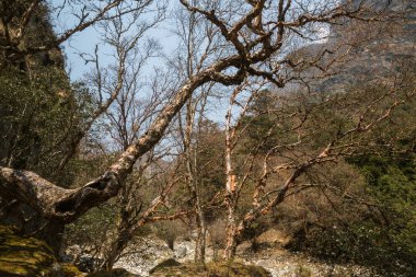 dağ izi görünümünü Trek Everest Merkez kampına