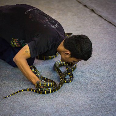 Tayland ada keşfetmek doğal görünümü