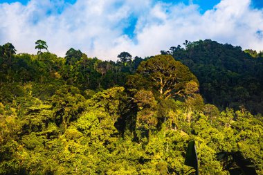 Tayland ada keşfetmek doğal görünümü