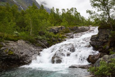 görkemli şelale ve yeşil bitki örtüsü Jotunheimen Milli Parkı, Norveç 
