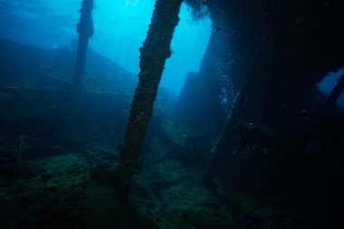 Bali, Endonezya okyanus altındaki batık geminin sualtı çekimi