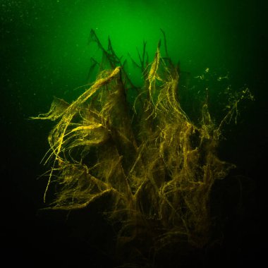 Ukrayna nehrin dibini doğası