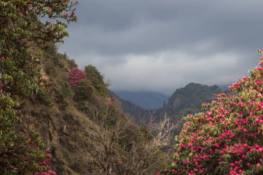 izleme Annapurna Merkez kampına Himalaya dağlarının güzel manzara