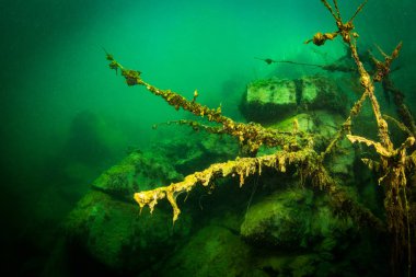 Ukrayna nehrin dibini doğası