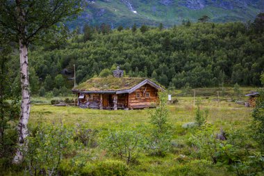 Norveç ev çim çatılı