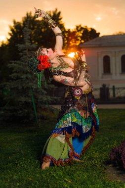 deniz manzarası ve hayvanların gündüz görünümü 