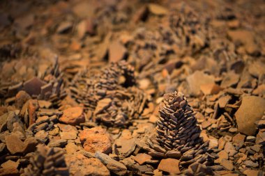 Soyut dünya küçük taştan