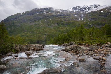Norveç Jotunheimen Milli Parkı'nda görkemli Nehri