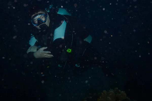 Дайвер Водой Возле Острова Тао Koh Tao — стоковое фото