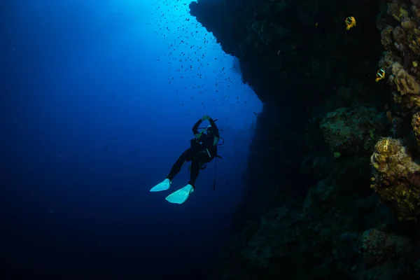 Mergulhador Reaf Mar Vermelho — Fotografia de Stock