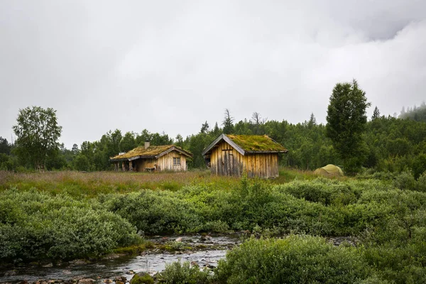 Noorse Huis Met Grasdak — Stockfoto