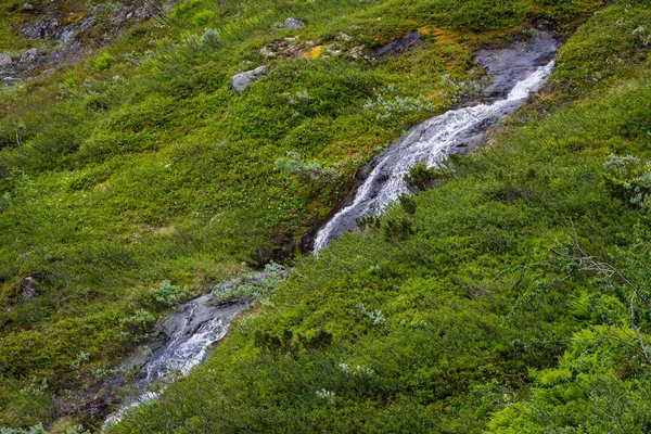 Величественный Водопад Зеленая Растительность Национальном Парке Йотунхеймен Норвегия — стоковое фото