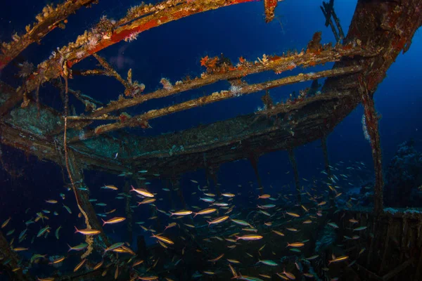 Glassboat Wreck Reef Red Sea Sharm Sheikh Egypt — Stock Photo, Image