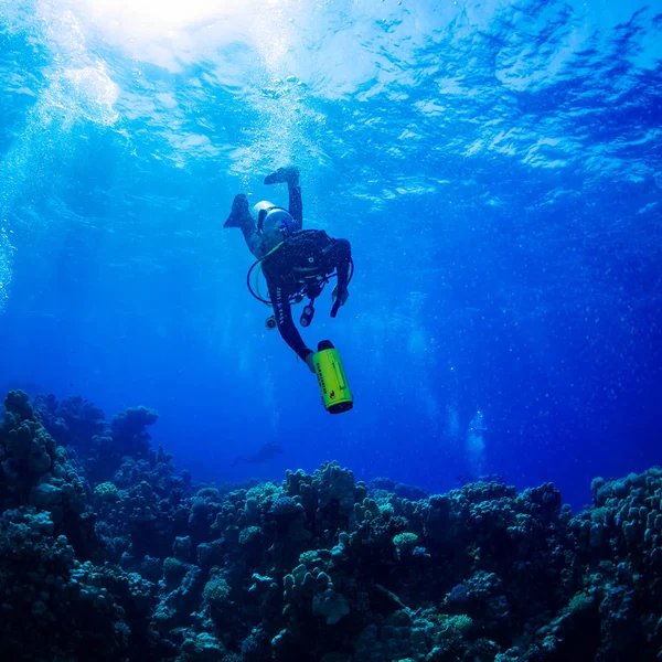 Diver on the reaf of Red sea