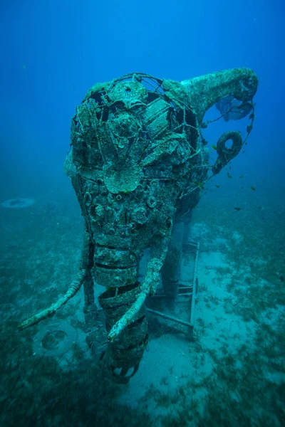 Onderwater Schot Zeebodem — Stockfoto