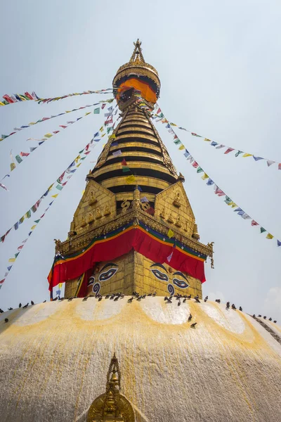 Swayambhunath Tapınağı Katmandu Nepal'ın başkentinde karmaşık