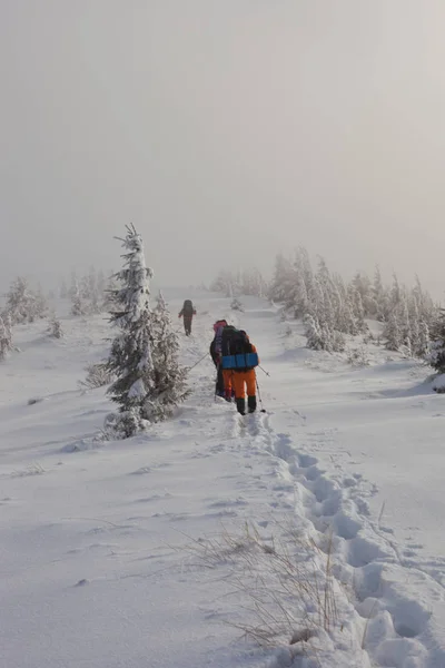 Turistik Yerler ve yerlere seyahat, Carpathian Mountains, Ukrayna