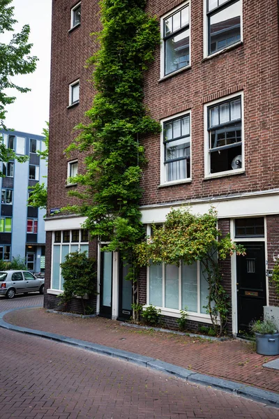 Amsterdam Nederland Juli Stadsleven Van Kapitaal Stad Van Nederland — Stockfoto