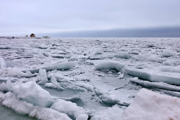 Koude Anticyclone Aan Kust Van Krim — Stockfoto