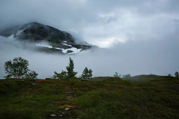 Prachtige Landschap Van Noorse Bergen Weg Naar Trolltunga — Stockfoto