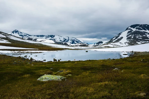 Vackra Landskapet Nationalparken Jotunheimen Norge — Stockfoto