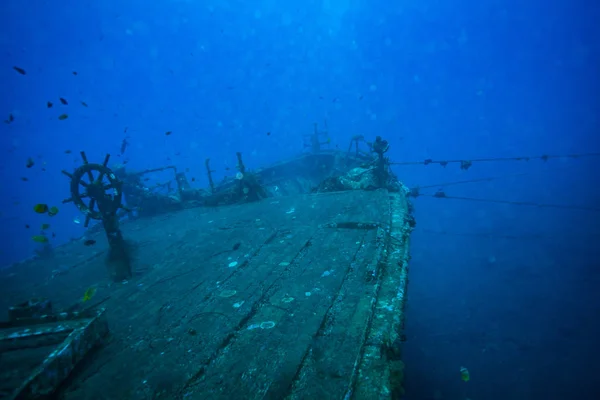 Bali, Endonezya okyanus altındaki batık geminin sualtı çekimi