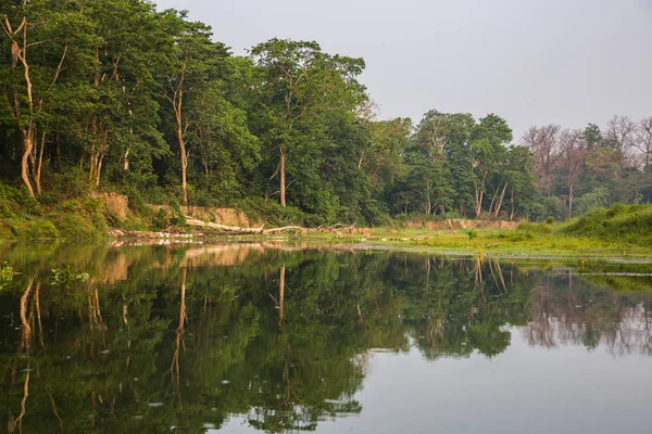 Vista Panoramica Bellissimo Paesaggio Con Flora Fauna Chitwan Nepal — Foto Stock