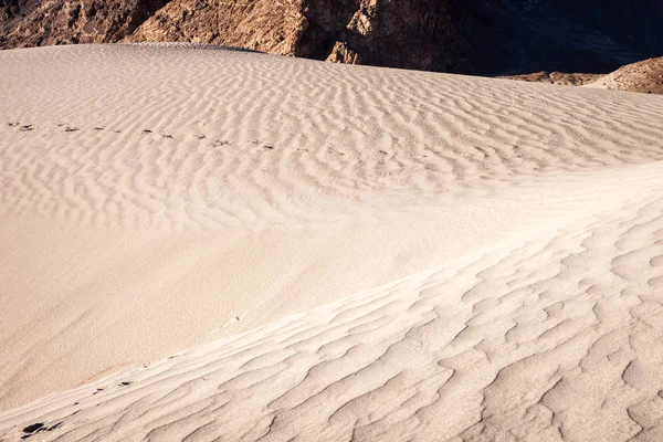 Nubra Vadisi Çöl Himalayalar 4000Km Yükseklikte Hindistan Ladakh — Stok fotoğraf