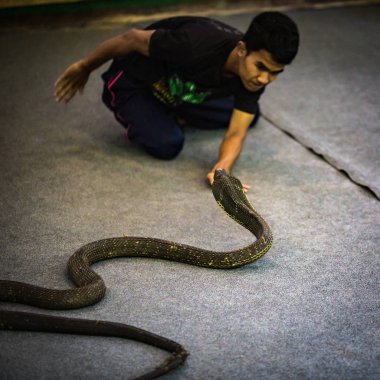Tayland ada keşfetmek doğal görünümü