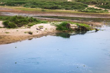 Timsah Chitwan Milli Parkı içinde