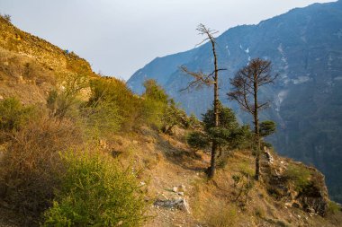 dağ izi görünümünü Trek Everest Merkez kampına