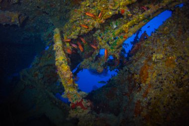 II. Dünya Savaşı sırasında Red Sea, Mısır İngiliz askeri nakliye gemisi battı