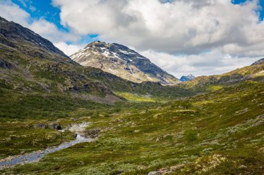 Norveç Jotunheimen Milli Parkı'nda görkemli Nehri