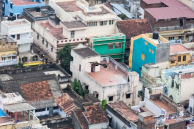 Madurai Hint şehir çatılarda uçan kartal