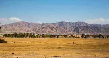 yaz tatili Eilat Resort, İsrail