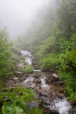 Karpatdağları güzel manzara, Ukrayna