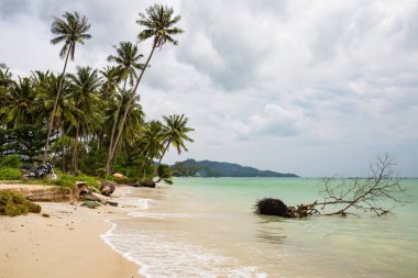 güzel deniz kıyısında, Koh Samui, Tayland