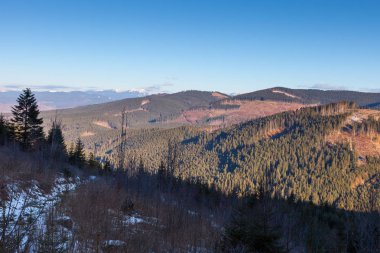 Karpat Dağları kış.