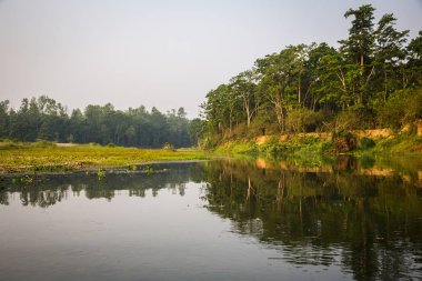 Doğal görünümü güzel manzara ile flora ve fauna Chitwan, Nepal 