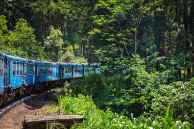 Nuwara Eliya, Sri Lanka-Nisan 8: Eski trende 8 Nisan 2018 yılında Nuwara Eliya, Sri Lanka. Çay tarlaları Tren