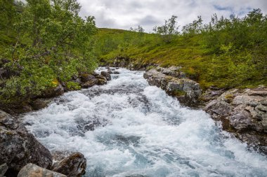 Norveç Jotunheimen Milli Parkı'nda görkemli Nehri