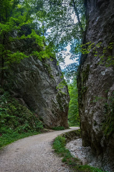 Karadağ dağ yaz panoraması