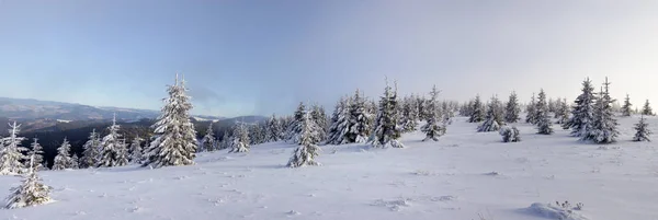 Vackert Vinterlandskap Snötäckta Ukrainska Karpaterna Bergen — Stockfoto