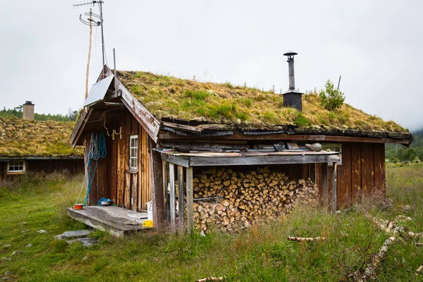 Casa Norvegiana Acoperis Iarba — Fotografie, imagine de stoc