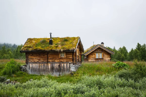 Noorse Huis Met Grasdak — Stockfoto