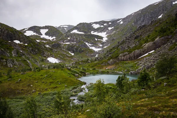 Vackra Sommarlandskap Folgefonna Nationalpark Norge — Stockfoto