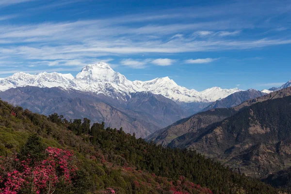 Hermoso Panorama Del Himalaya Seguimiento Campamento Base Annapurna — Foto de Stock