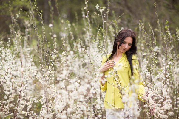 Fată Tânără Fermecătoare Florile Cireșe Primăvară — Fotografie, imagine de stoc