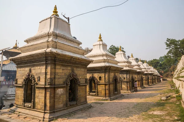 Katmandu, Nepal-Nisan 25: Pashupatinath Tapınağı 25, Katmandu, Nepal 2016. Pashupatinath Tapınağı en eski Hindu Tapınağı Kathmandu