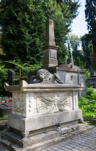 Estátua Sepultura Velho Cemitério — Fotografia de Stock